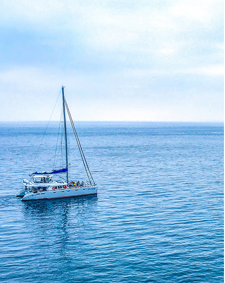 濟(jì)源市尚恩環(huán)?？萍加邢薰敬箝T(mén)改造工程成交結(jié)果公告